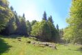 Serina - Passo del Sappli - Conca Alben - Cornalba - Serina